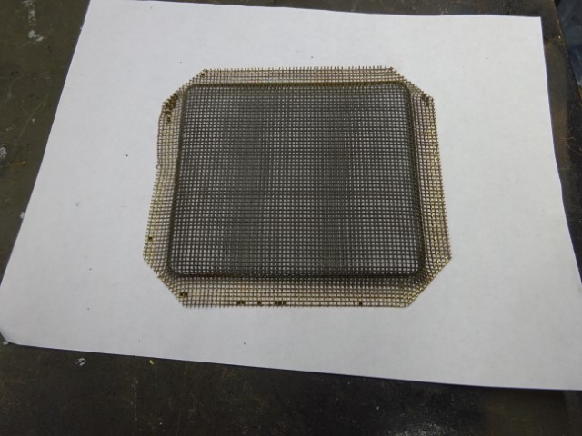 DSC01503 (Small).JPG